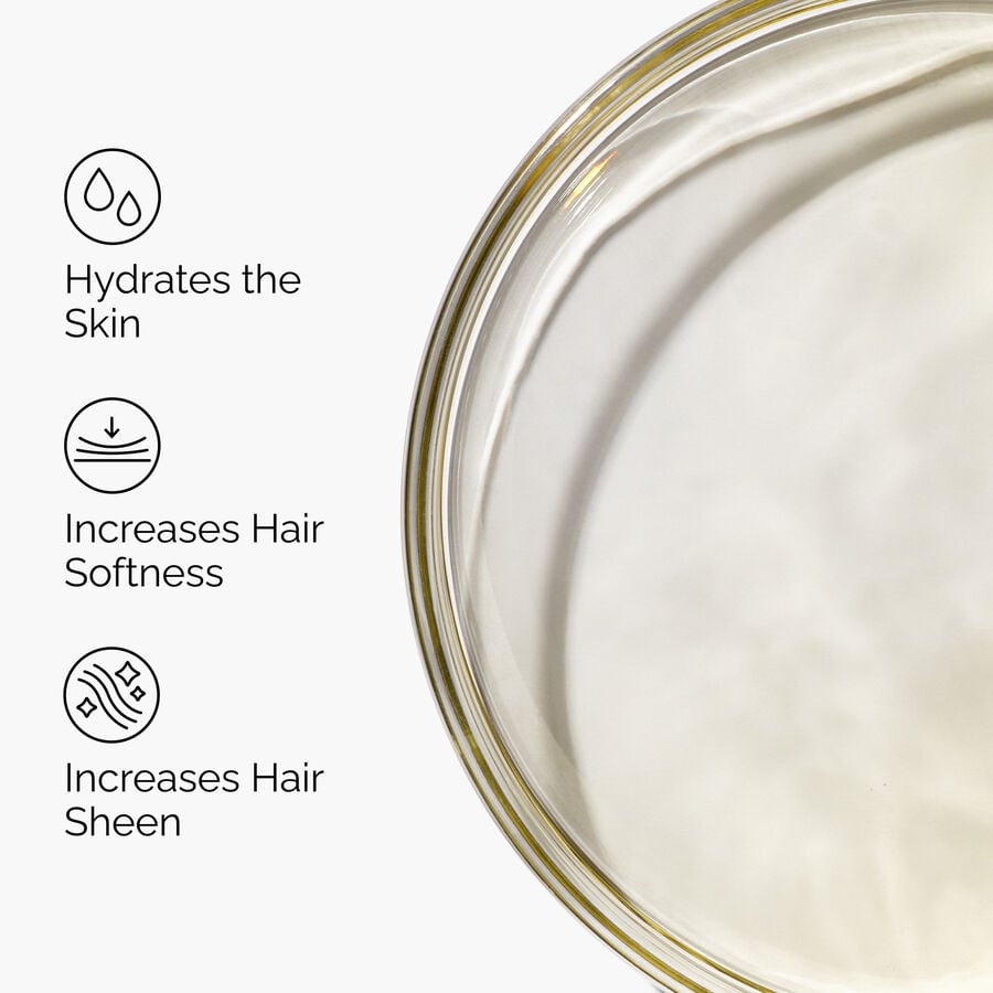 100-organic-cold-pressed-moroccan-argan-oil-s6 FY25-D41247-ORD-Web-PDP-100-Argan-Oil-1x1-EN-3.jpg